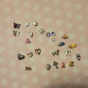 24 Animal/cause Charms